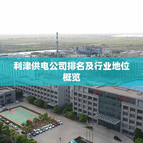 利津供电公司排名及行业地位概览