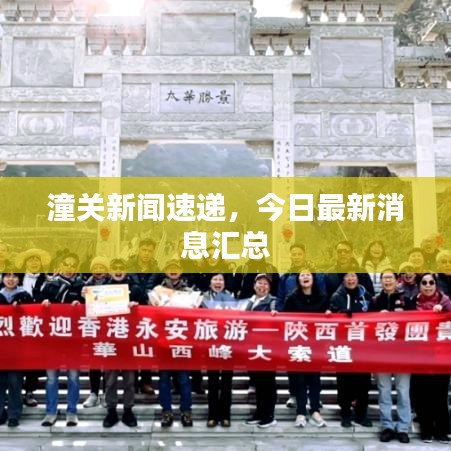 潼关新闻速递，今日最新消息汇总