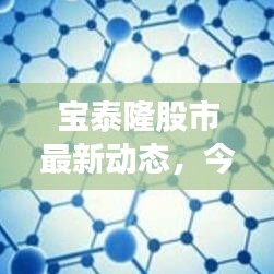 宝泰隆股市最新动态，今日消息全面解析