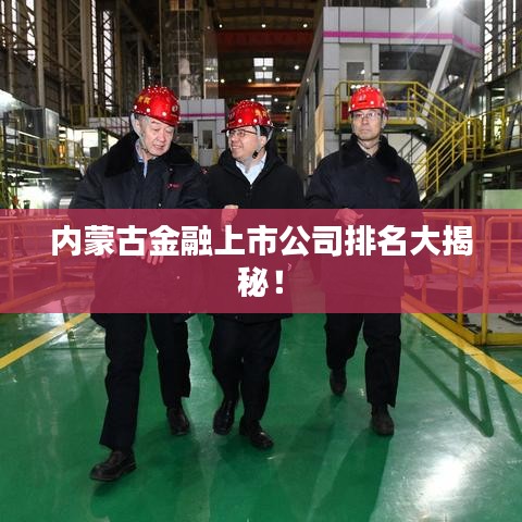 内蒙古金融上市公司排名大揭秘！