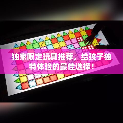 独家限定玩具推荐,给孩子独特体验的最佳选择!