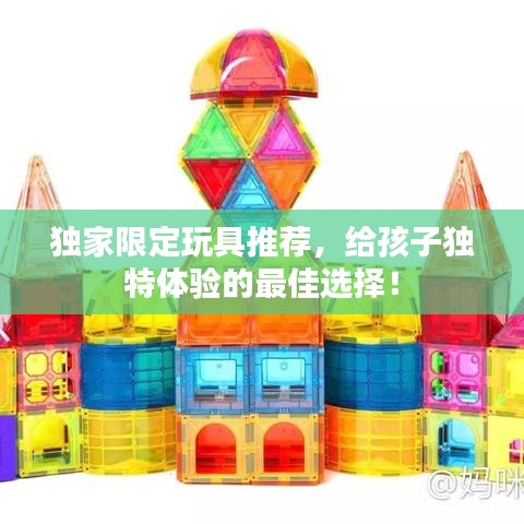 独家限定玩具推荐,给孩子独特体验的最佳选择!