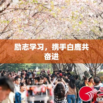 联系方式 第81页