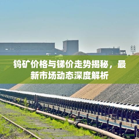 钨矿价格与锑价走势揭秘，最新市场动态深度解析