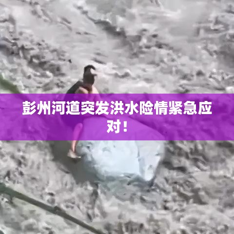 彭州河道突发洪水险情紧急应对！