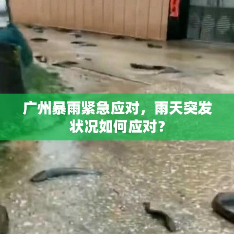 广州暴雨紧急应对，雨天突发状况如何应对？