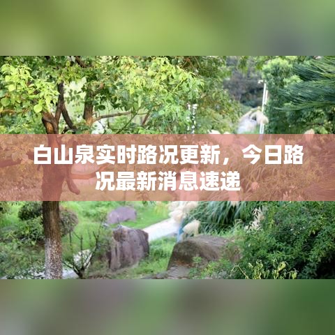 白山泉实时路况更新,今日路况最新消息速递