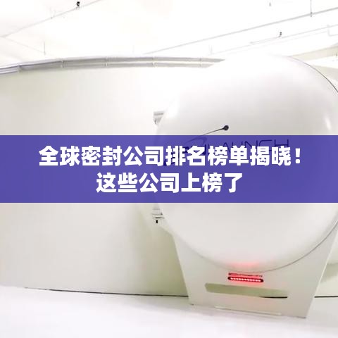 全球密封公司排名榜单揭晓!这些公司上榜了