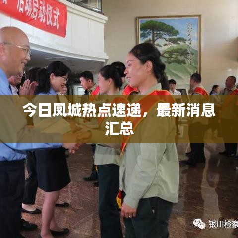 今日凤城热点速递,最新消息汇总