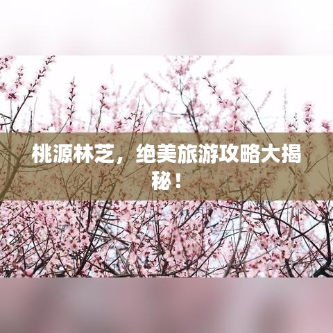 桃源林芝,绝美旅游攻略大揭秘!