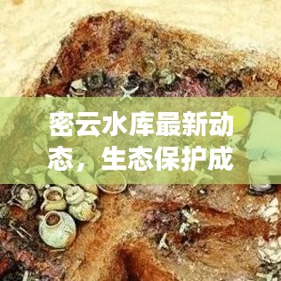 密云水库最新动态,生态保护成果展示与水库新进展