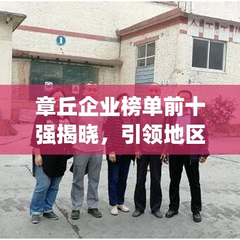钗荆裙布 第3页