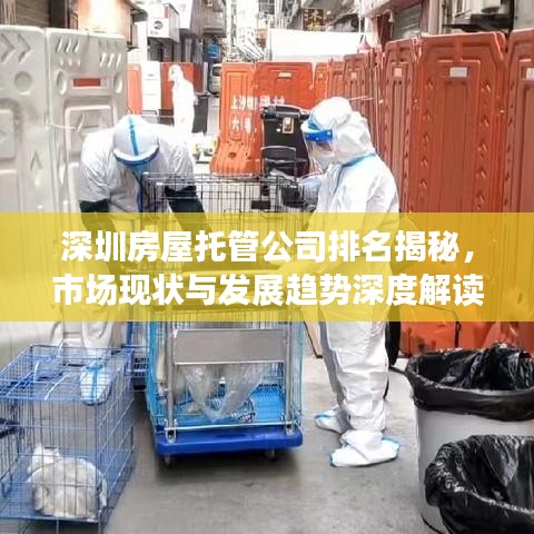 深圳房屋托管公司排名揭秘，市场现状与发展趋势深度解读