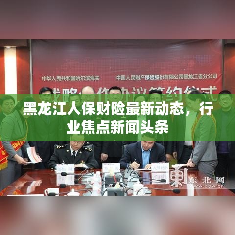 黑龙江人保财险最新动态，行业焦点新闻头条