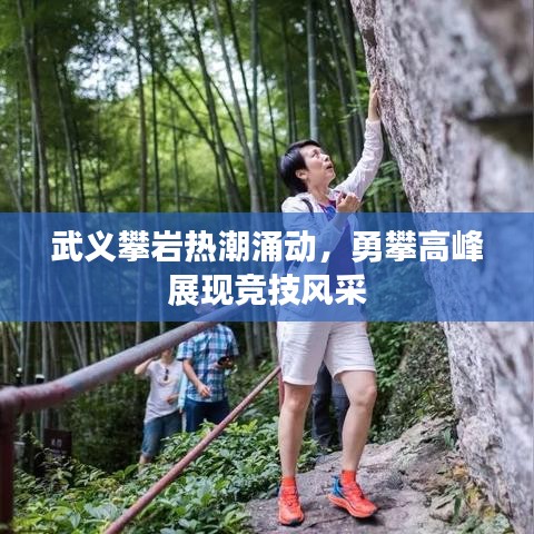 武义攀岩热潮涌动,勇攀高峰展现竞技风采
