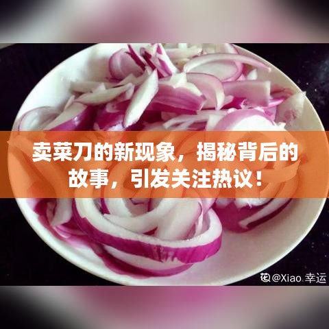 卖菜刀的新现象,揭秘背后的故事,引发关注热议!