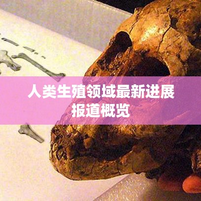 飞流直下 第2页