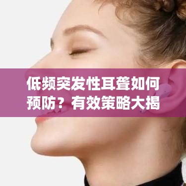 设计风格指南 第83页
