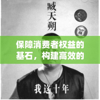 保障消费者权益的基石，构建高效的投诉举报落实机制