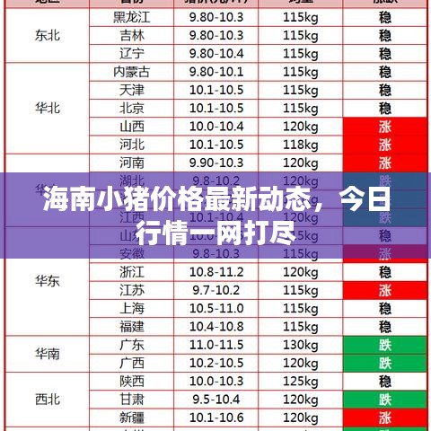 海南小猪价格最新动态,今日行情一网打尽