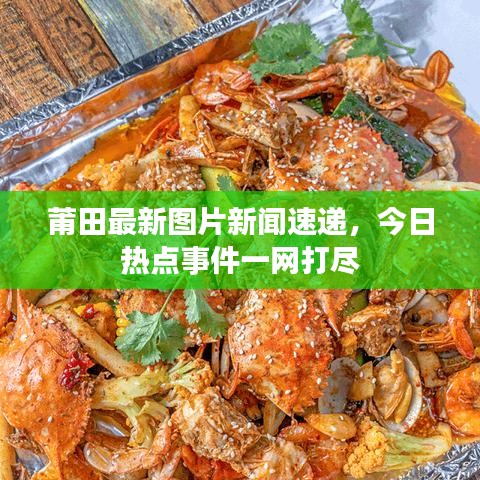 莆田最新图片新闻速递，今日热点事件一网打尽