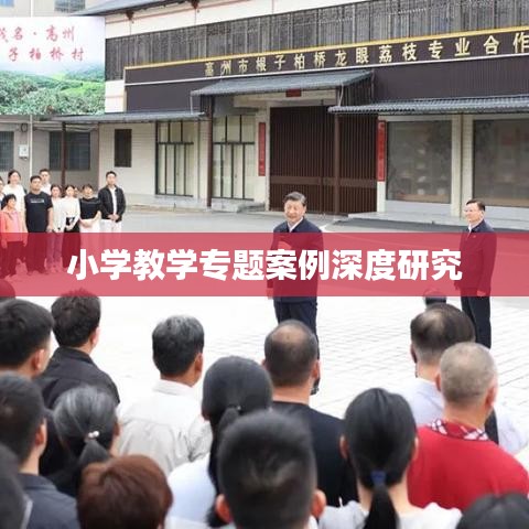 小学教学专题案例深度研究