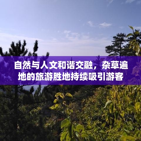 物以稀为贵 第2页