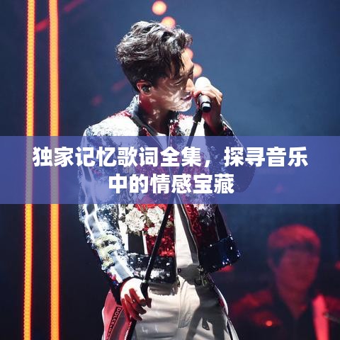 独家记忆歌词全集,探寻音乐中的情感宝藏