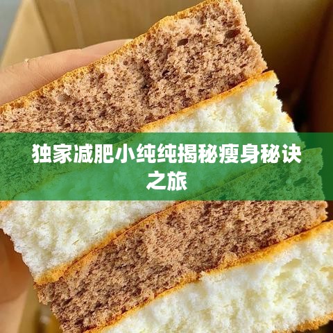独家减肥小纯纯揭秘瘦身秘诀之旅