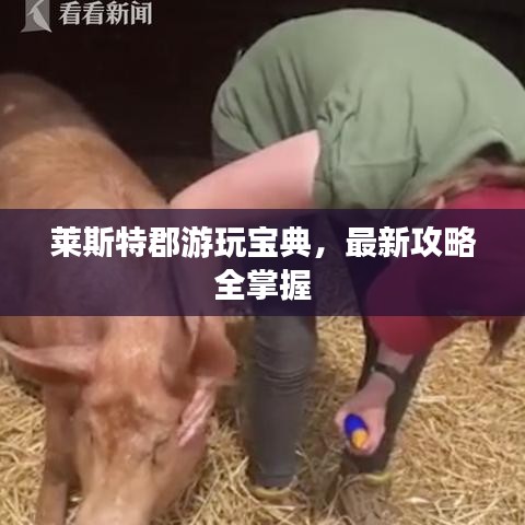 人杰地灵 第2页