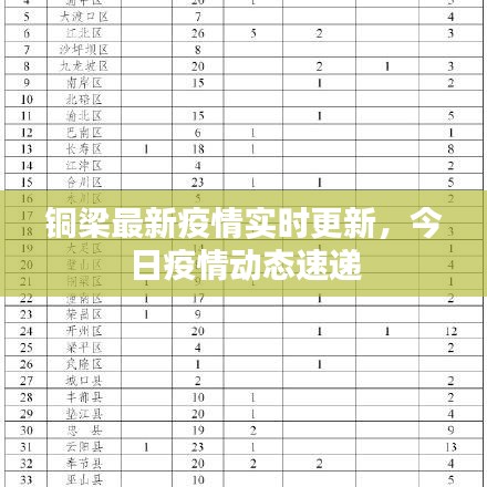 铜梁最新疫情实时更新,今日疫情动态速递