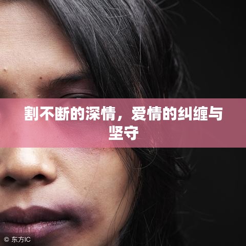 割不断的深情,爱情的纠缠与坚守
