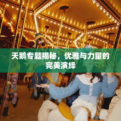 天鹅专题揭秘,优雅与力量的完美演绎