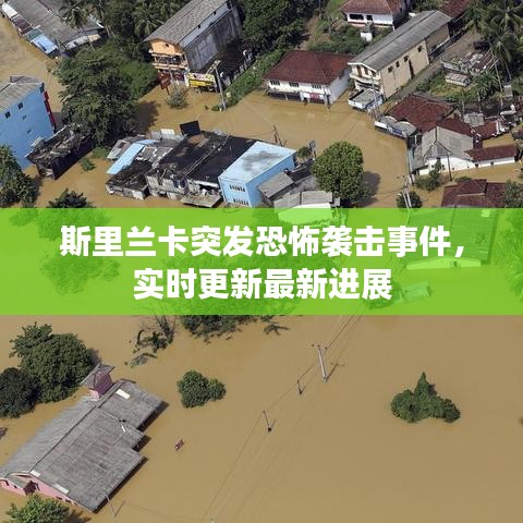 斯里兰卡突发恐怖袭击事件,实时更新最新进展