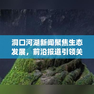 洞口河湖新闻聚焦生态发展,前沿报道引领关注热潮