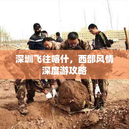 雪中送炭 第2页
