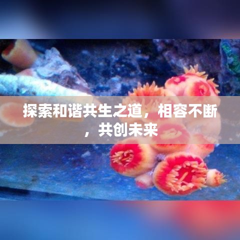 探索和谐共生之道,相容不断,共创未来