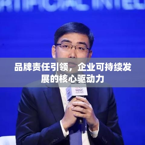 品牌责任引领，企业可持续发展的核心驱动力