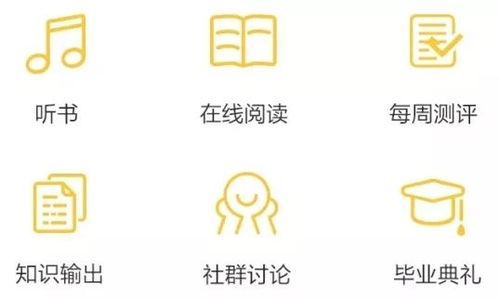 小篆版本,数据支持计划解析-bundle_v5.335