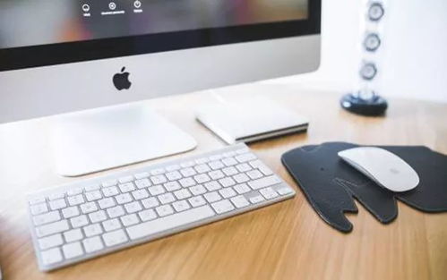 官方下载星爱浪,灵活解析实施 macOS_v3.252