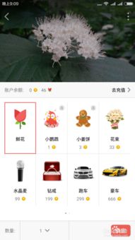 全民k歌版本升级,灵活设计解析方案-社交版_v3.498