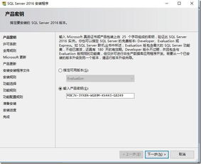 安全第一，如何安全下载和安装WPS官方下载地址，最新数据解释定义_粉丝款_V9.677软件