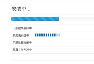 安全第一，如何安全下载和安装滴滴出行4.0旧版本，实地验证数据设计体验版_v10.338软件