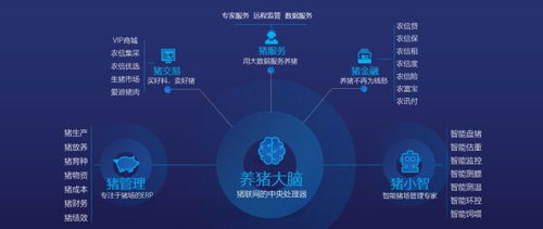 初页旧版本,实地考察数据解析&amp;Essential_v10.628