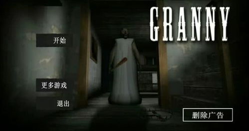 恐怖奶奶我的世界版本,经典解读说明_Harmony_v7.147