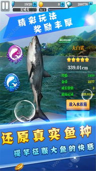 捕鱼王者官方网站下载,精确数据解释定义 Executive_v10.143