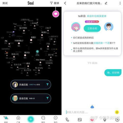 Soulapp官方下载,全面数据策略实施_限量款_v6.236