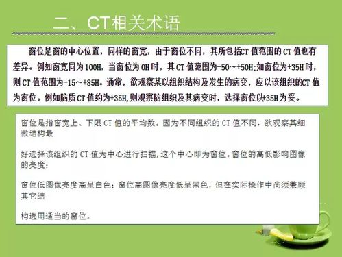 旧版本115,确保解释问题 CT_v2.316