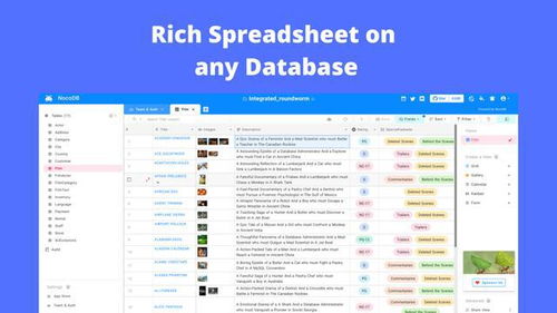 大e浏览器官方下载,实地执行考察方案_储蓄版_v9.161