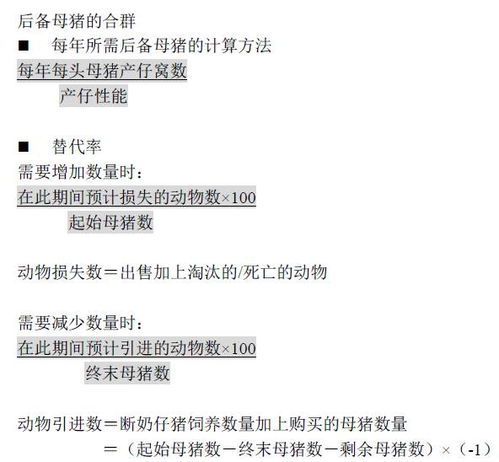 肉先生猪版本，数据导向策略实施演进简史
